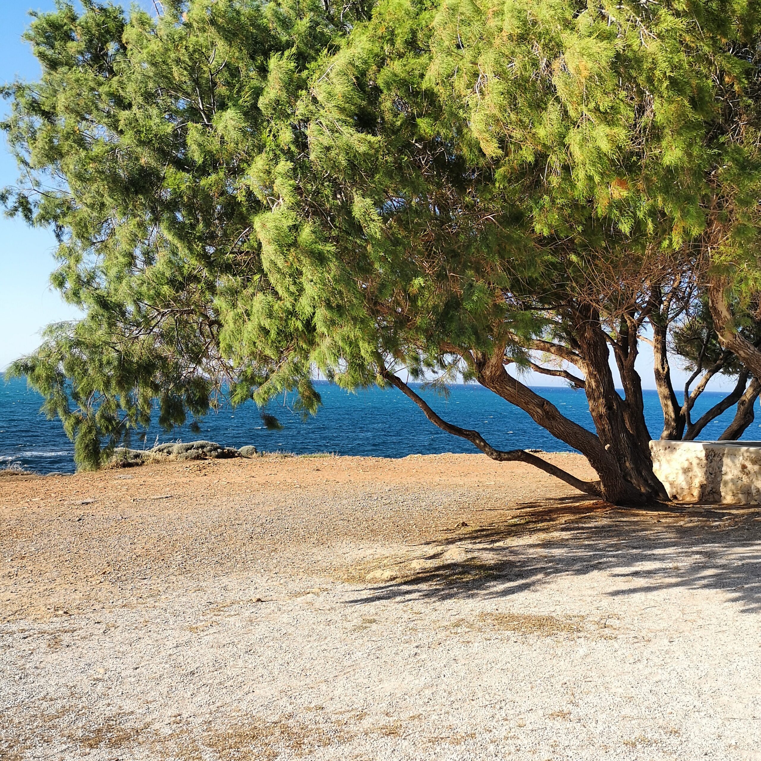 Kreta Zachodnia – okolice Chani