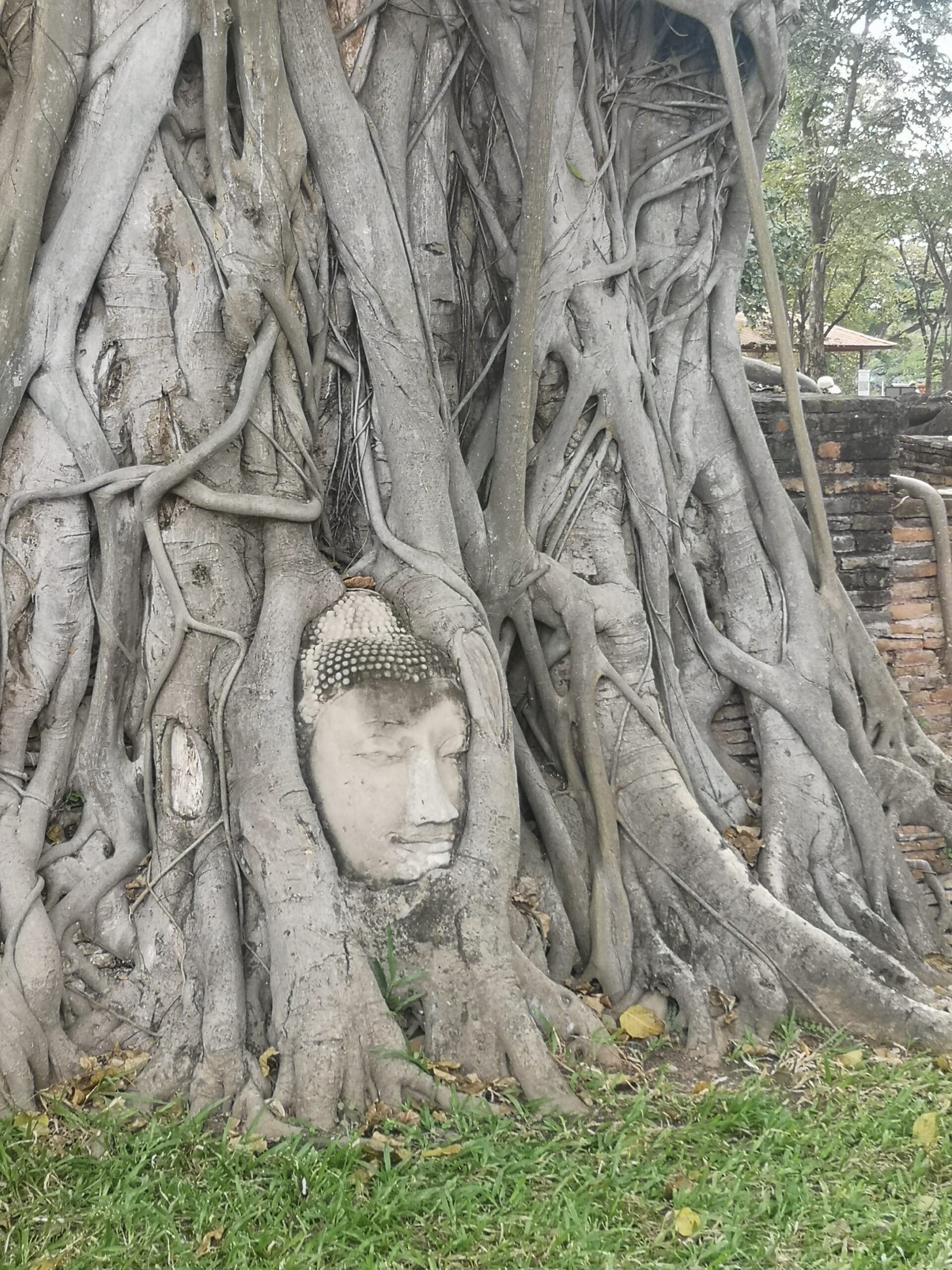 Ayutthaya